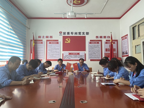6月19日下午，尿素車間黨支部與法律審計部黨支部開展結(jié)對共建活動2.jpg