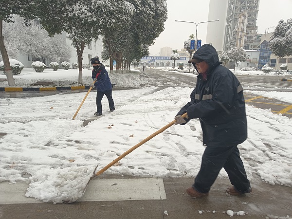2024年1月15日，行政保衛(wèi)部組織人員在各主干道、人行道進行掃雪.jpg